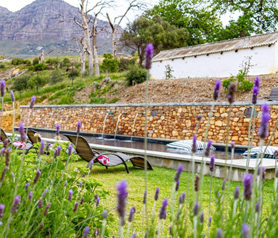 Plaisir Estate Accommodation Simondium Esterno foto