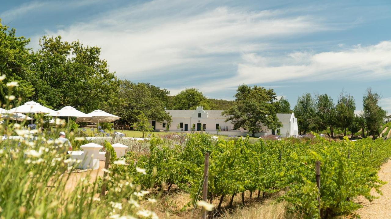 Plaisir Estate Accommodation Simondium Esterno foto